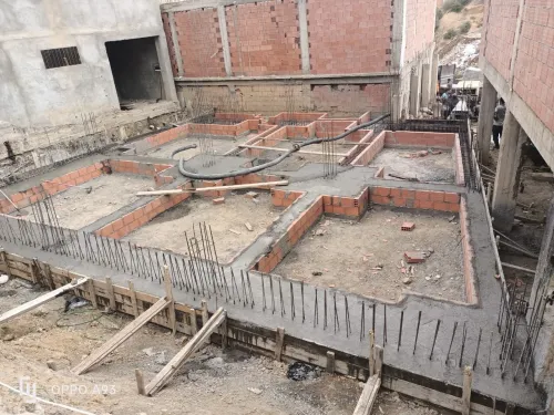 Vente Terrain Blida Guerrouaou