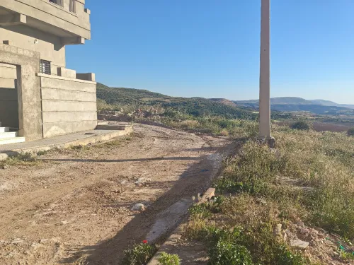 Vente Terrain Constantine Constantine