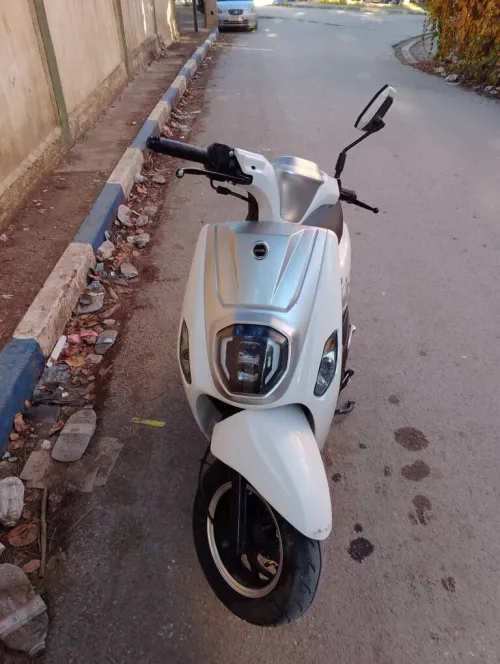 estatex vms 2025