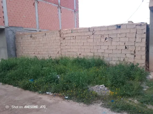 Vente Terrain Tlemcen Hammam boughrara