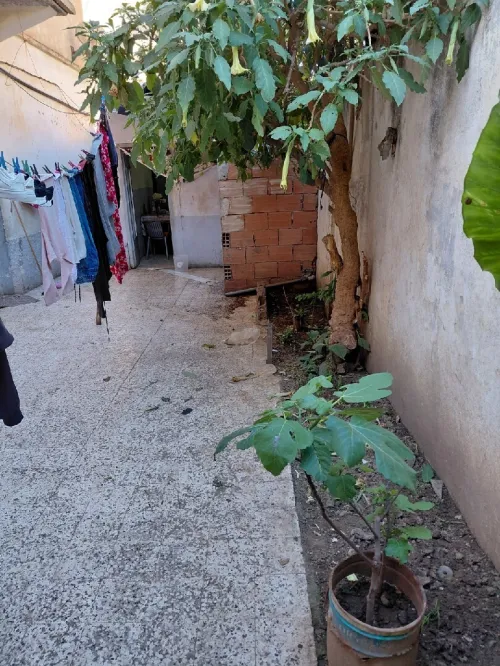 Vente Villa Boumerdès Hammedi