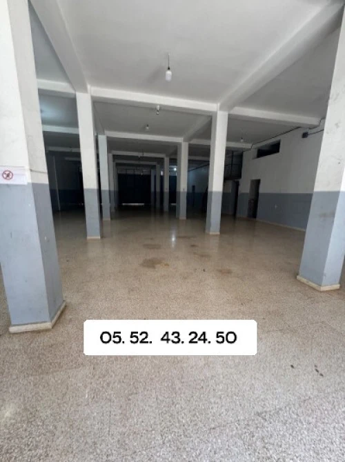 Location Hangar - Usine Oran Oran