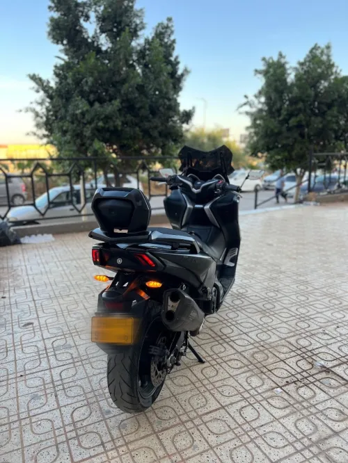 Yamaha timax Dx 2017