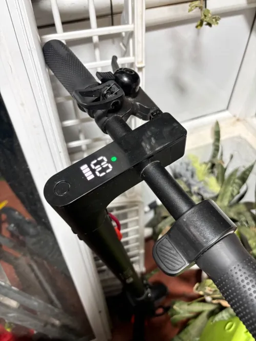 Ace Ace350 2024