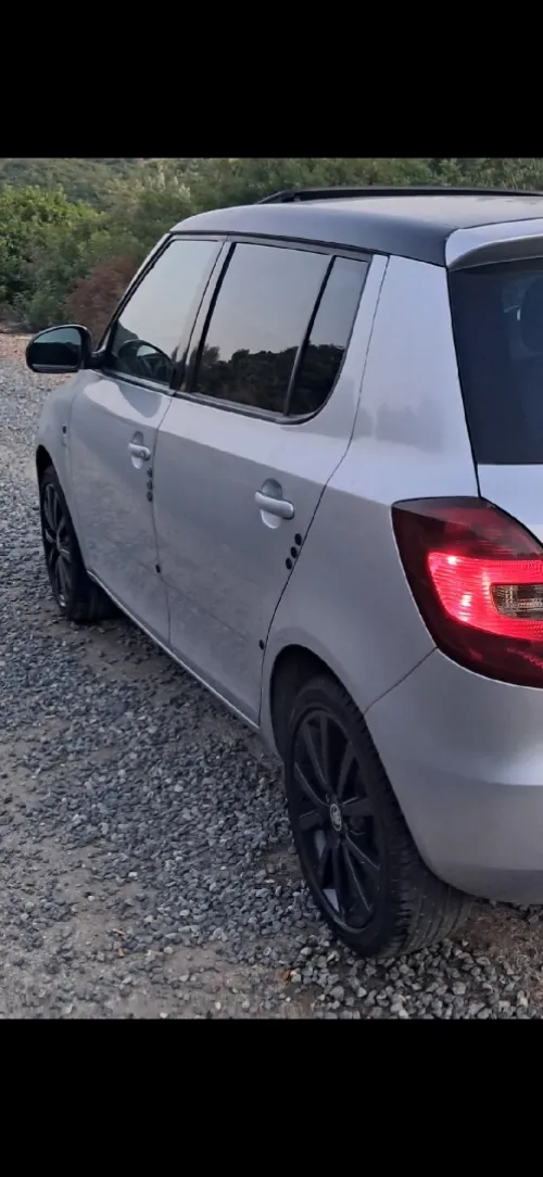 Skoda Fabia 2014 Visage