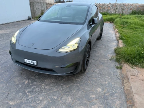 Tesla Y 2022 