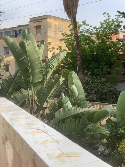 Vente Villa Alger Birkhadem