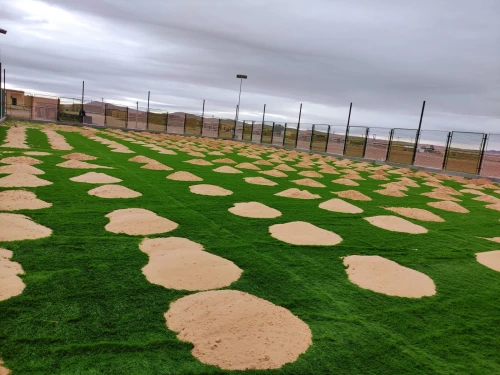 تهيئة و إنجاز الملاعب الرياضية(matico)