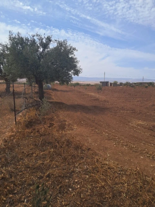 Vente Terrain Agricole Tlemcen Bensekrane