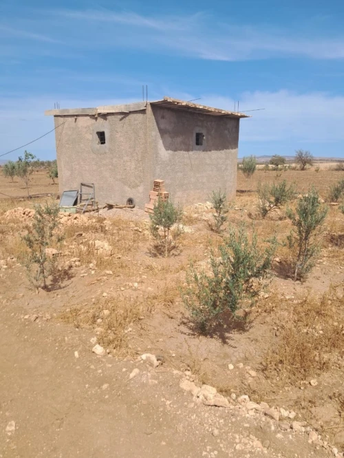 Vente Terrain Agricole Tlemcen Bensekrane