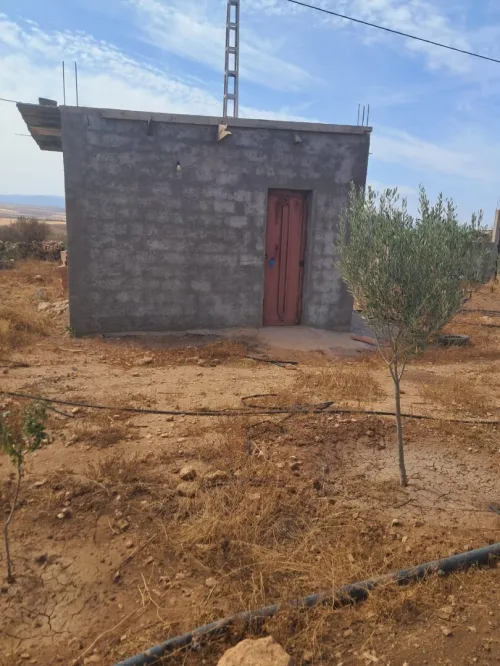 Vente Terrain Agricole Tlemcen Bensekrane