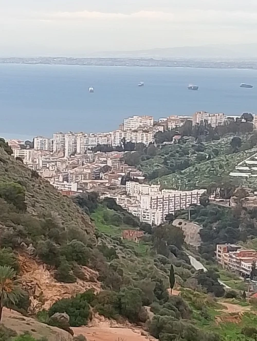 Vente Appartement F2 F4 Alger Bouzareah