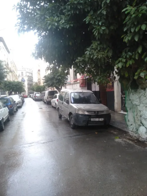 Location Local Alger Alger centre