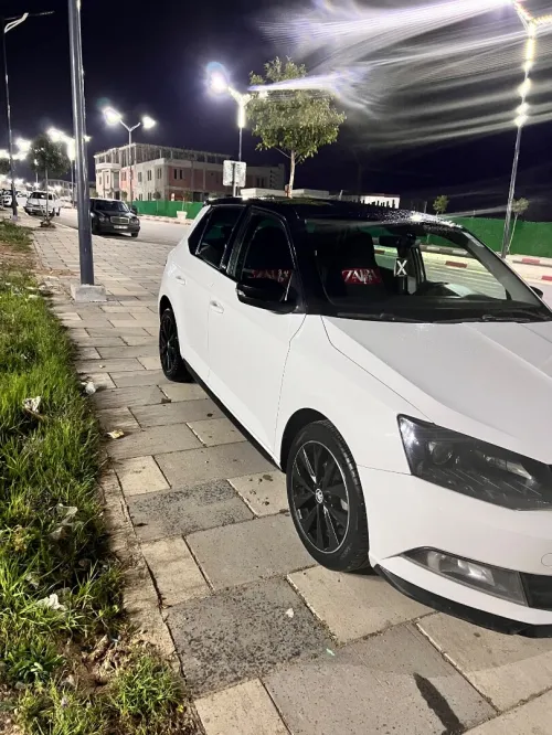 Skoda Fabia 2017 Monte Carlo