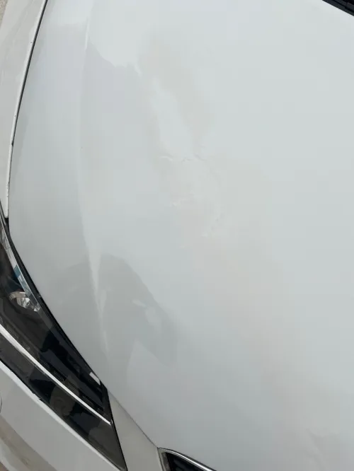 Seat Ibiza 2015 Black Line