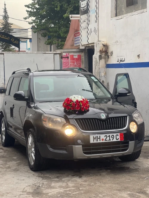 Skoda Yeti 2011 Yeti