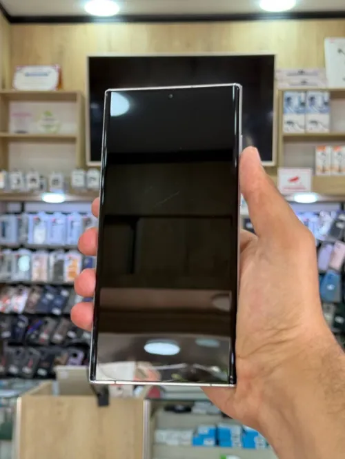 SAMSUNG S22 ULTRA 12/256 GB 