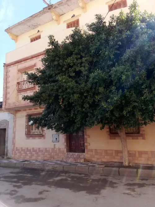 Vente Villa Relizane Ammi moussa