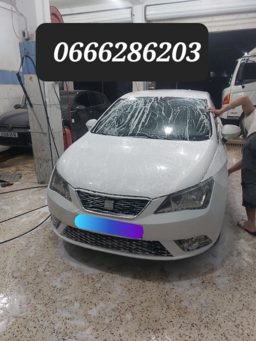 Seat Ibiza 2014 Edition 30
