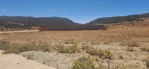 Vente Terrain Tlemcen Tirni beni hediel