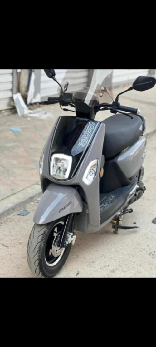 Okinoi coxi 2025