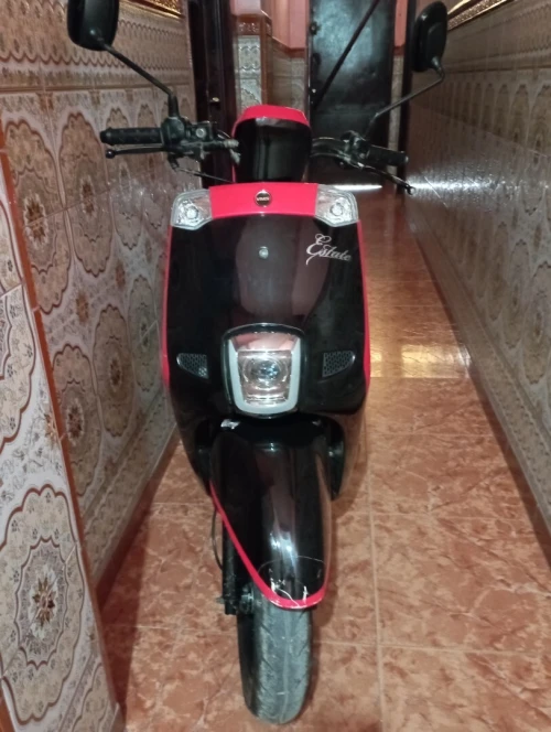 Vms Cuxi 2022
