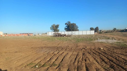 Location Terrain Boumerdès Ouled moussa