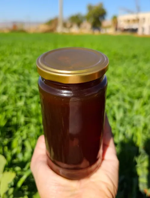 عسل الغابة الطبيعي وعسل السدر الصحراوي رطل ونصف