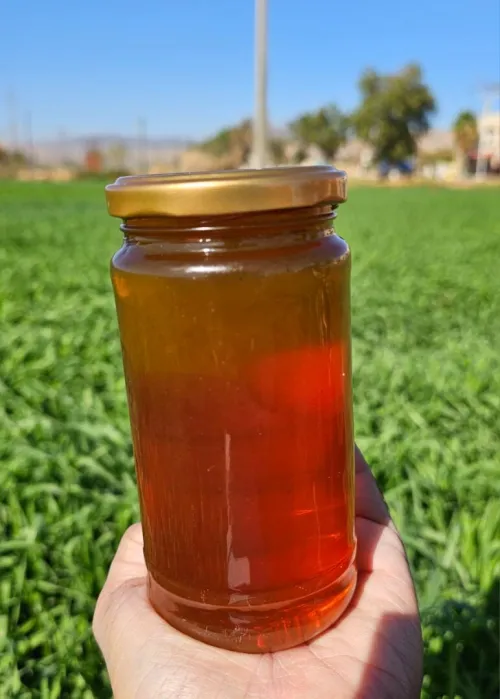 عسل الغابة الطبيعي وعسل السدر الصحراوي رطل ونصف
