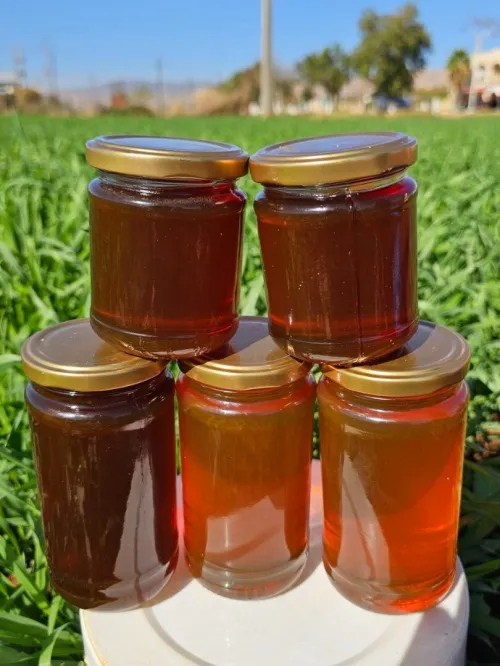 عسل الغابة الطبيعي وعسل السدر الصحراوي رطل ونصف