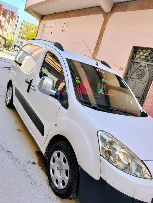 Peugeot Partner 2011 B9