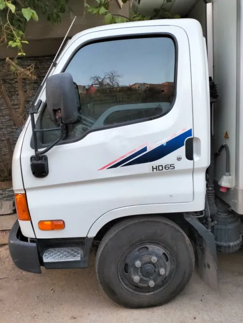 Hyundai Hd65 2010