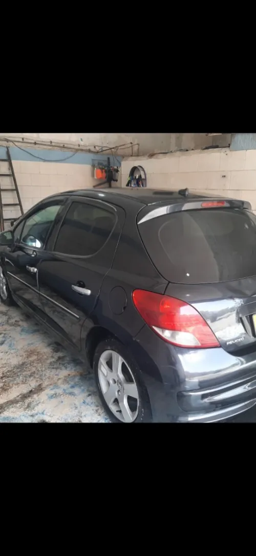 Peugeot 207 2009 Trendy
