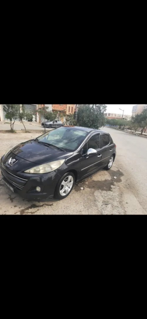 Peugeot 207 2009 Trendy