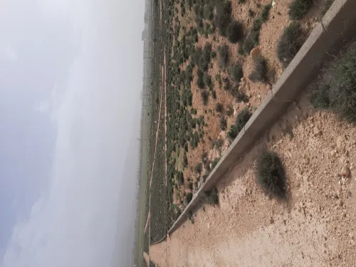 Vente Terrain Batna Batna
