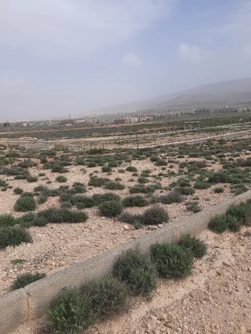 Vente Terrain Batna Batna