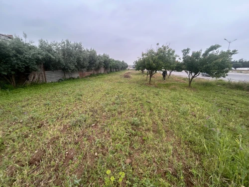 Vente Terrain Blida Soumaa