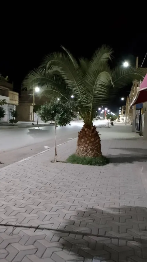 Vente Appartement M'Sila Sidi aissa