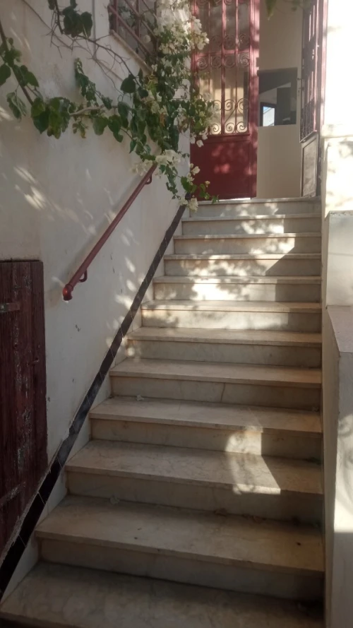 Location Appartement Duplex F5 Alger Alger centre