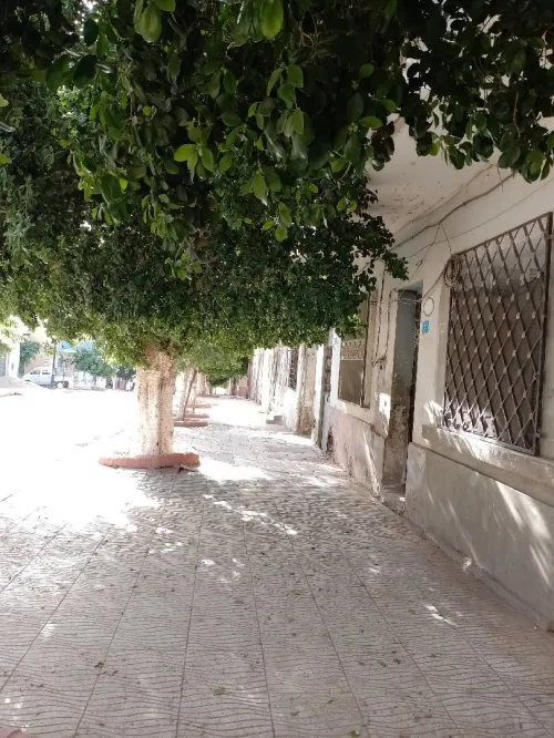 Vente Villa Mascara Bou hanifia