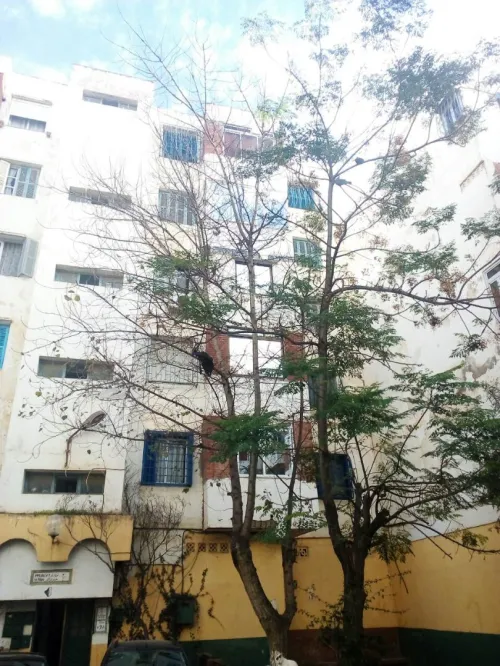 Location Appartement F3 Alger Bordj el kiffan
