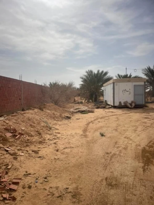 Vente Terrain Agricole Biskra Biskra
