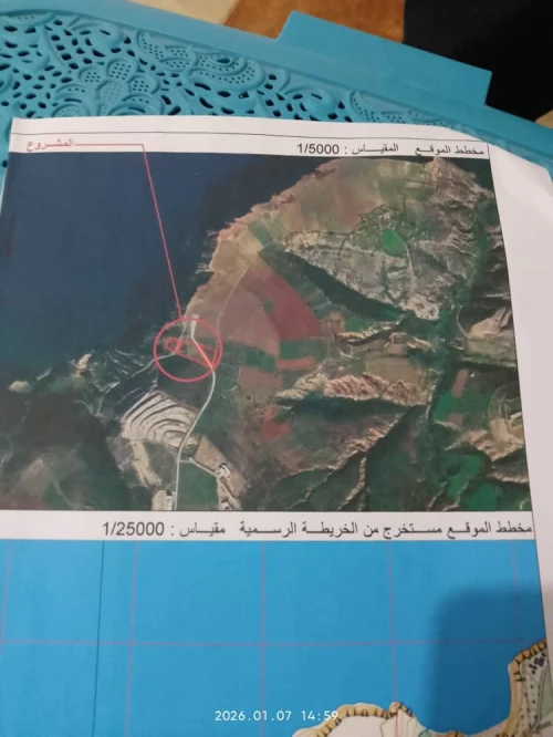 Vente Terrain Tlemcen Souahlia