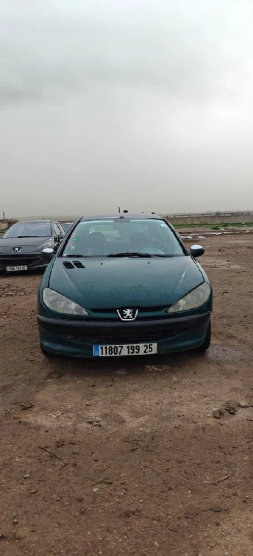 Peugeot 206 1999 206