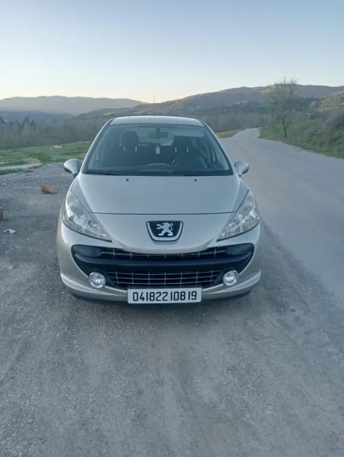 Peugeot 207 2008 207