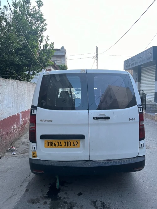 Hyundai H1 2010 H1