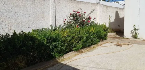 Location Appartement F3 Alger Birkhadem
