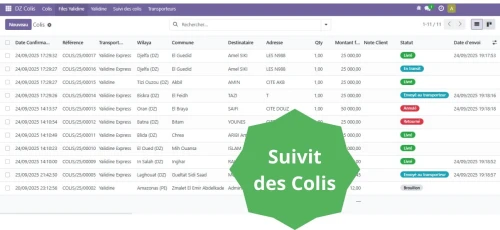 Module Odoo Algérie Ecommerce | DZ Ecommerce