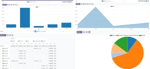 Module Odoo Algérie Ecommerce | DZ Ecommerce