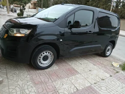 Fiat Doblo 2024 Professionnel